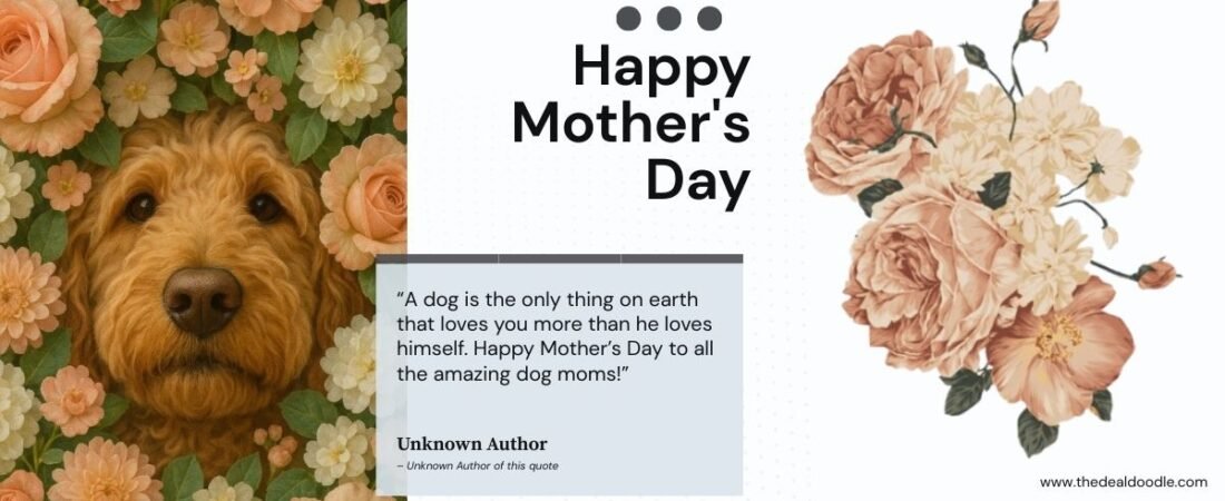 🌸 Happy Mother’s Day from me (Cooper) to all the pawsome moms out there! 🐾💐
