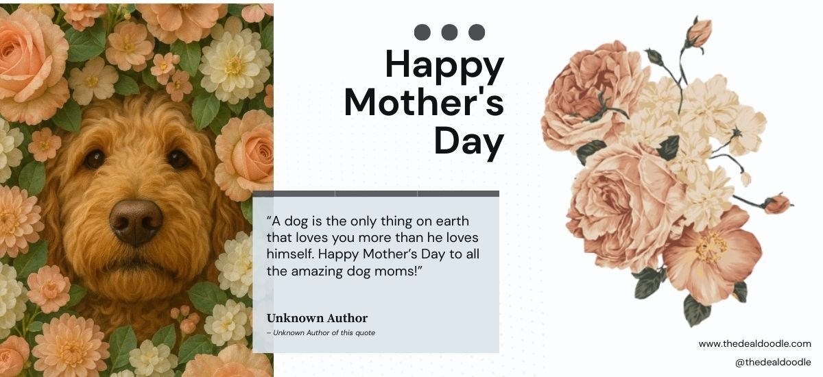 🌸 Happy Mother’s Day from me (Cooper) to all the pawsome moms out there! 🐾💐