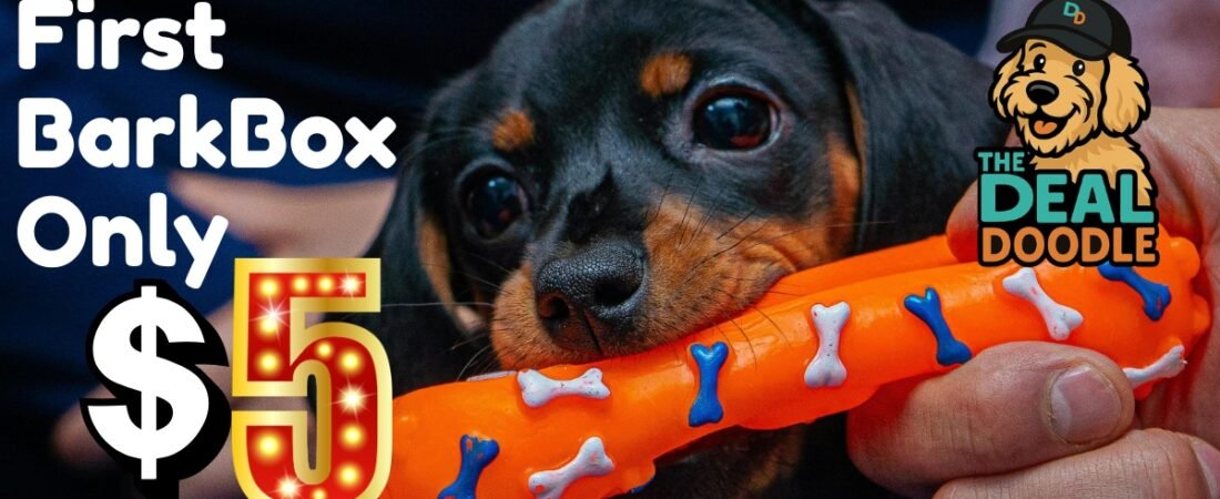 🐾🎁 BarkBox for Just $5 + FREE Chews for a Year! A Deal for Me (and Your Pup Too!)