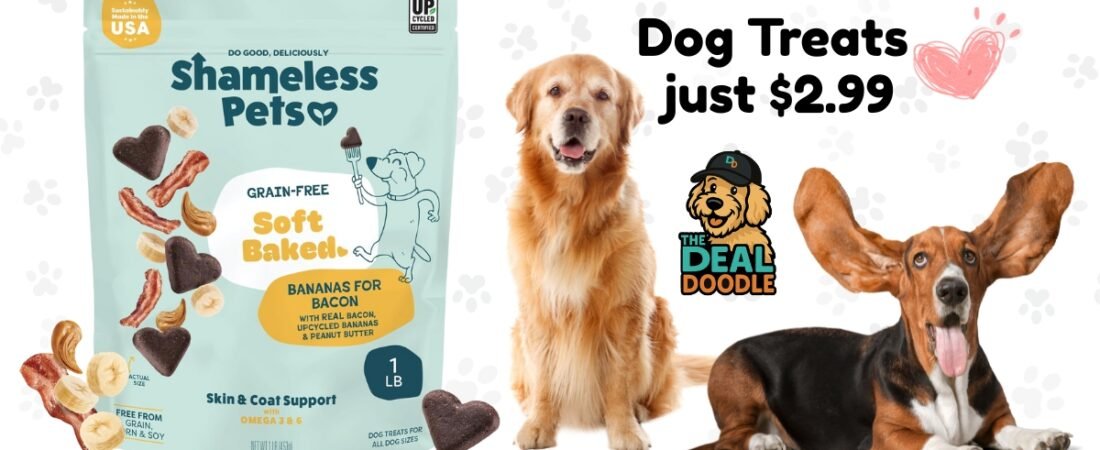 🐾🦴 Treat Deal Alert (I’m Paying Attention!) 🦴🐶