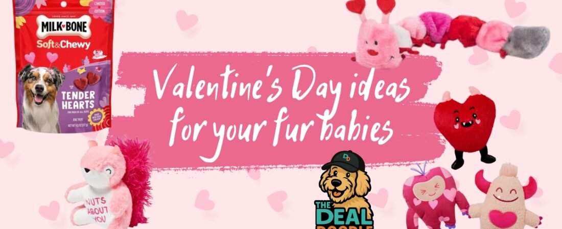 🐾💘 Cooper’s Valentine’s Day Picks for Dogs (Because We Deserve Treats Too!) 💘🐾