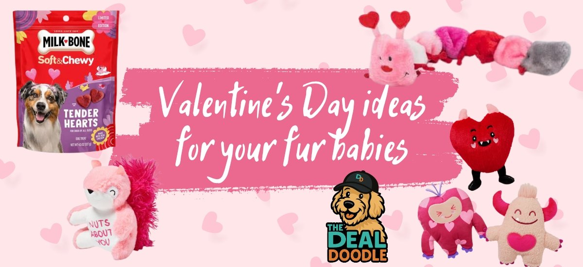 🐾💘 Cooper’s Valentine’s Day Picks for Dogs (Because We Deserve Treats Too!) 💘🐾