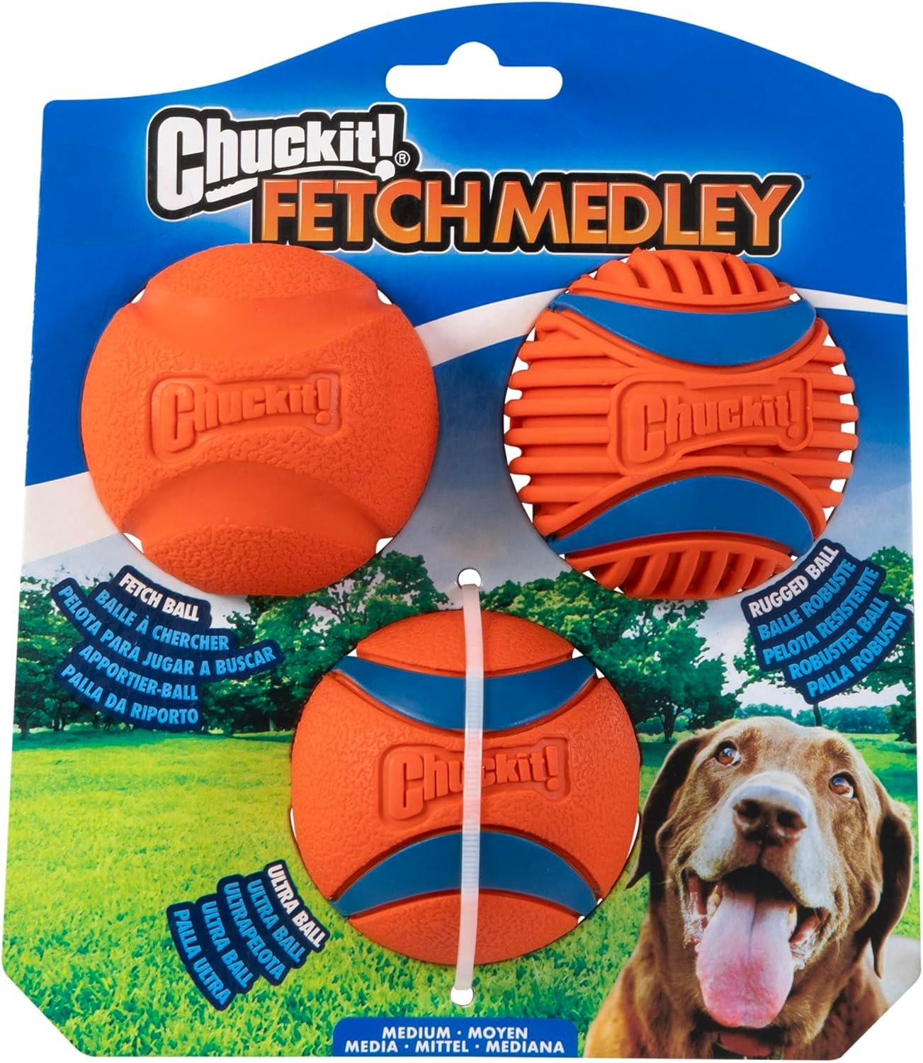 🐾 Cooper’s Deal Alert: Fetch Time Just Got an Upgrade! 🐾