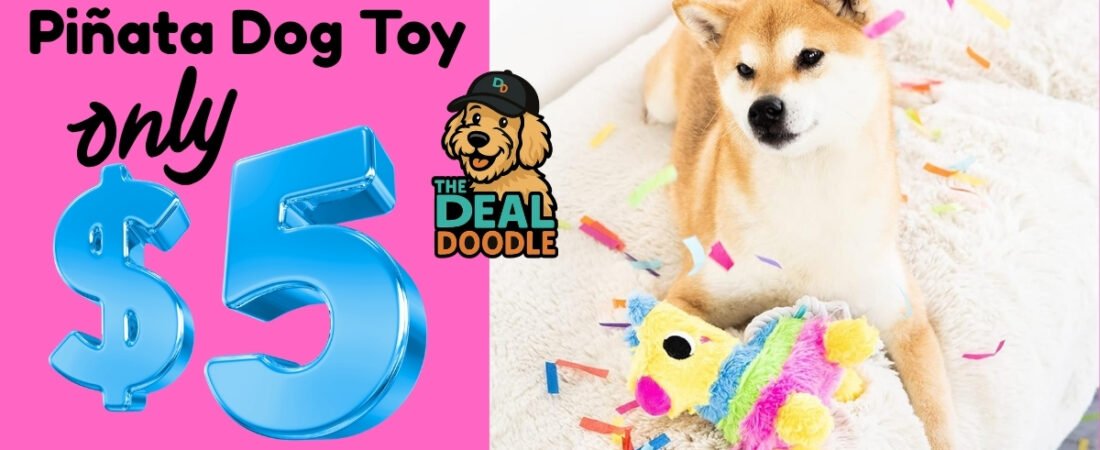 $5 Piñata Dog Toy Deal on Amazon: Fun Cinco de Mayo Toy for Dogs