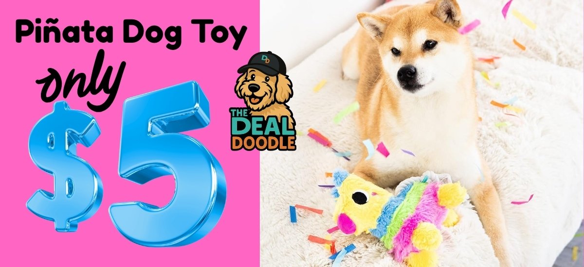 $5 Piñata Dog Toy Deal on Amazon: Fun Cinco de Mayo Toy for Dogs